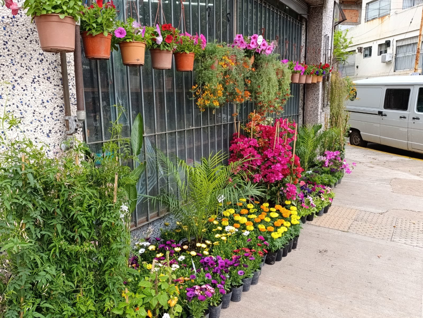 Inspiración plantas 1